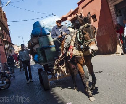 Que ver Marrakech un dia Marrakesh escapada fin de semana