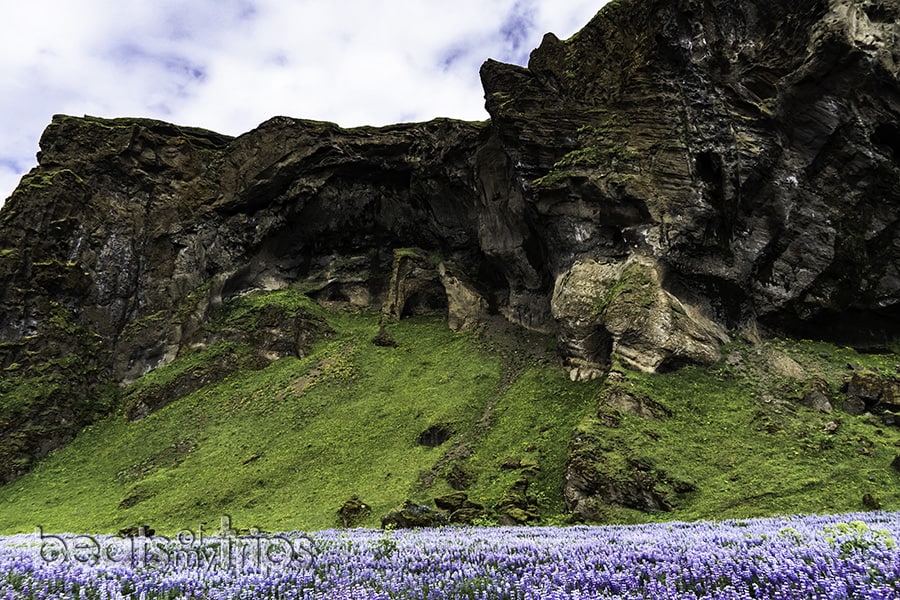 Hjörleifshöfði Cueva Vik sur Islandia blog viajes