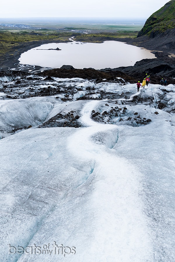 trekking crampones excursion glaciar vatnajokull Falljokull Skaftafell guia islandia que ver