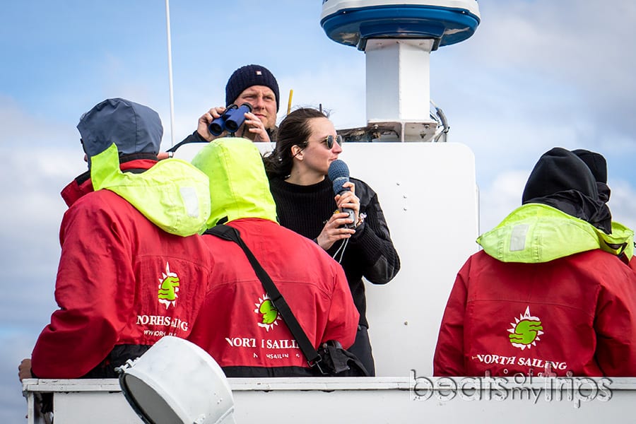barco tour ver ballenas Islandia con qué compañía contratar excursión