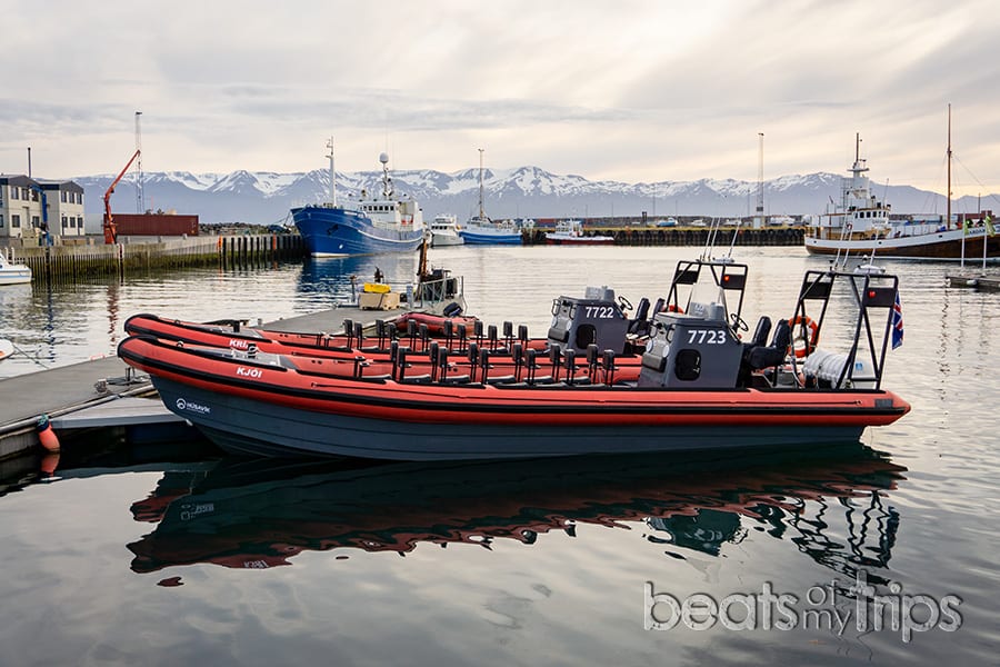 cómo ver ballenas Islandia zodiac barco cómo excursión
