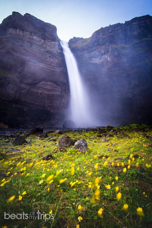 Flores Cascada Háifoss Islandia Haifoss Iceland